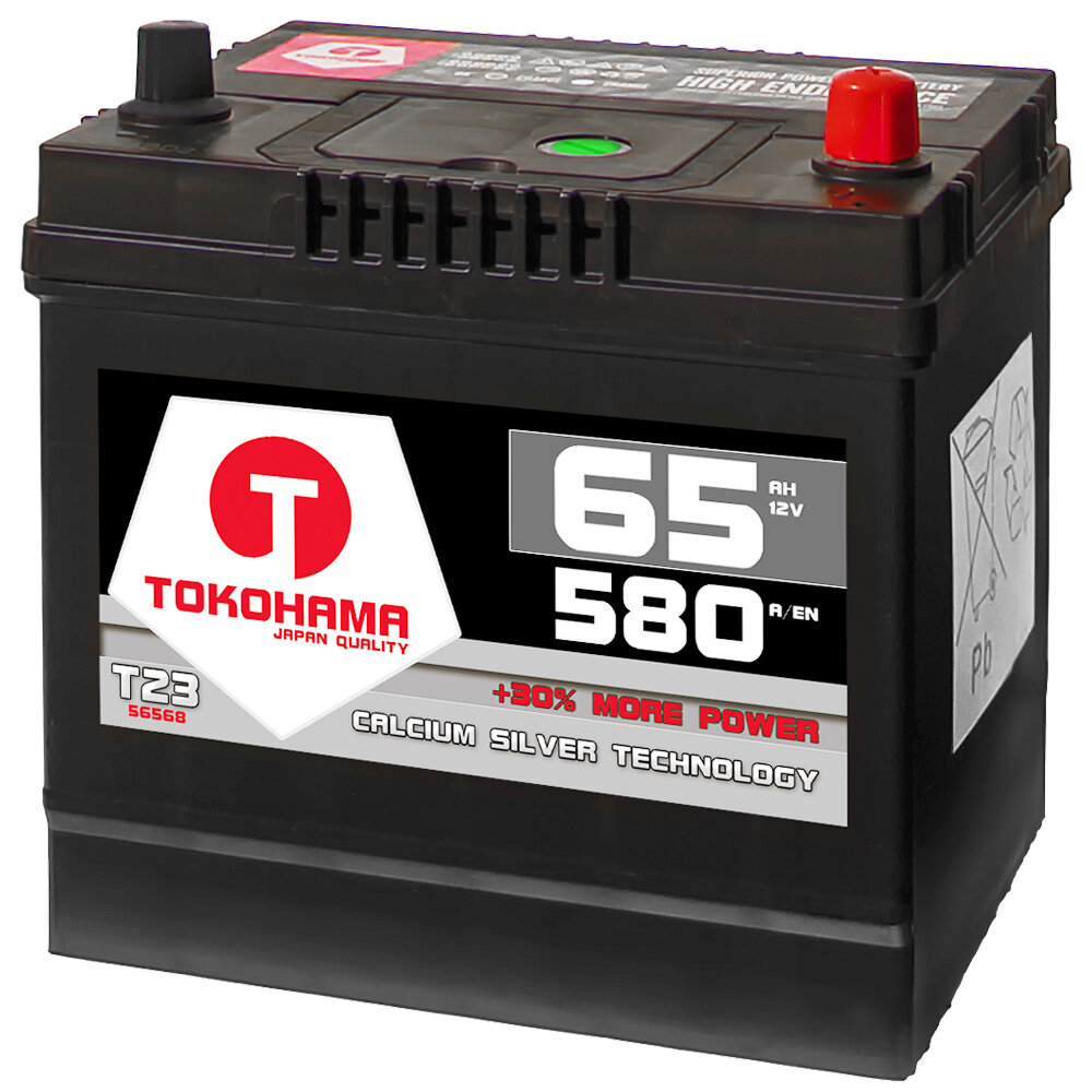 Tokohama Asia Autobatterie PPR 65Ah 12V, 63,85 €