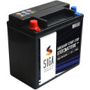 SIGA St&uuml;tzbatterie 12V 12Ah Gel Batterie Backup Batterie CX23-10C655-AC 12V 15Ah 220A/EN EK151 524201 Longlife Technologie sofort einsatzbereit vorgeladen auslaufsicher wartungsfrei