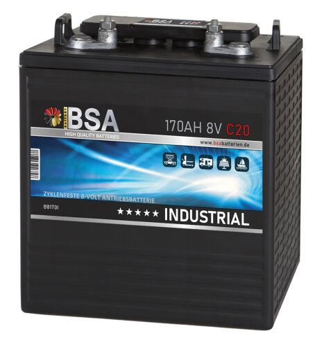 BSA Industrial Antriebsbatterie 8V 170Ah